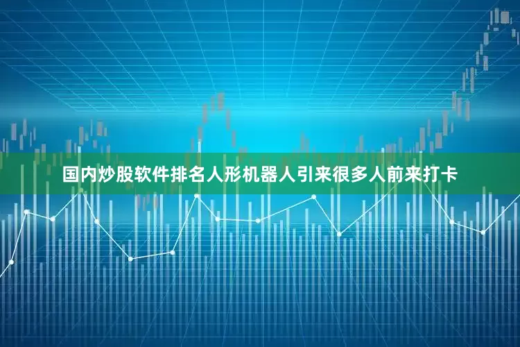 国内炒股软件排名人形机器人引来很多人前来打卡
