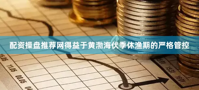 配资操盘推荐网得益于黄渤海伏季休渔期的严格管控