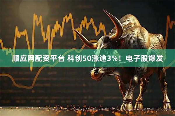 顺应网配资平台 科创50涨逾3%！电子股爆发