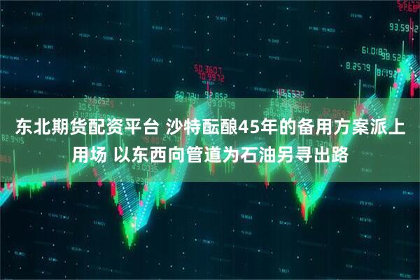 东北期货配资平台 沙特酝酿45年的备用方案派上用场 以东西向管道为石油另寻出路
