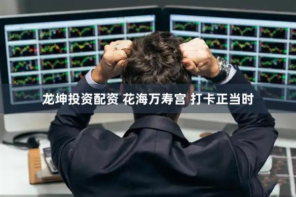 龙坤投资配资 花海万寿宫 打卡正当时