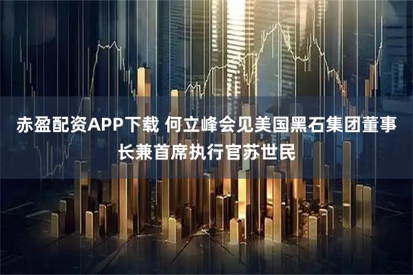 赤盈配资APP下载 何立峰会见美国黑石集团董事长兼首席执行官苏世民