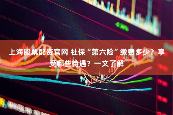 上海股票配资官网 社保“第六险”缴费多少？享受哪些待遇？一文了解